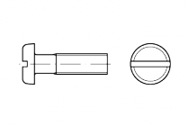 DIN 85  M 5 x 16 Ms   šroub s nízkou válcovou hlavou