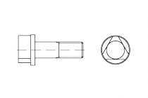 DIN 22424 8.8 AM 8 x 30   šroub s tříhrannou hl.